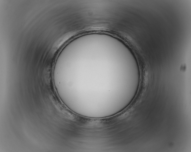 X0000111171162200907151252