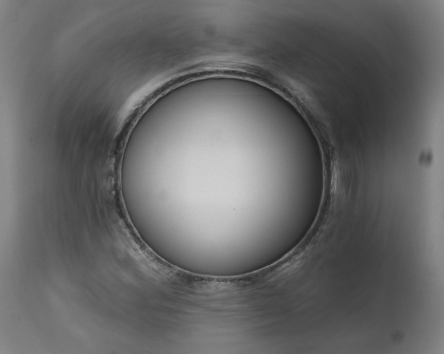 X0000111171164200907151252