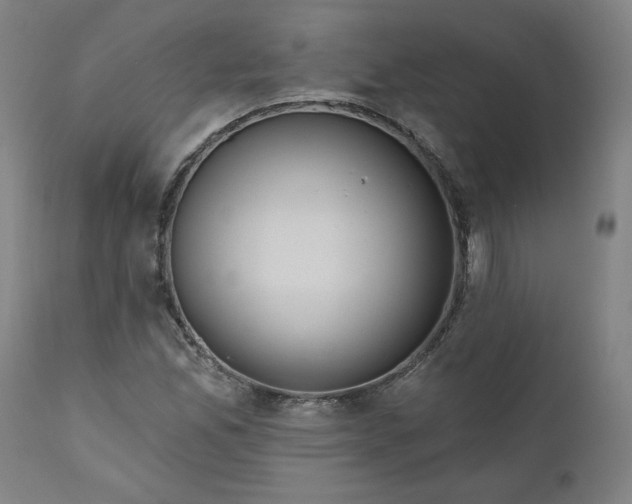 X0000111171165200907151252