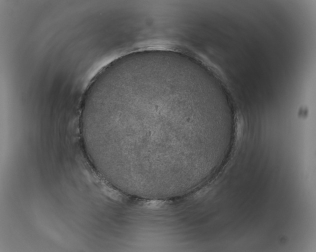 X0000111171166200907151252