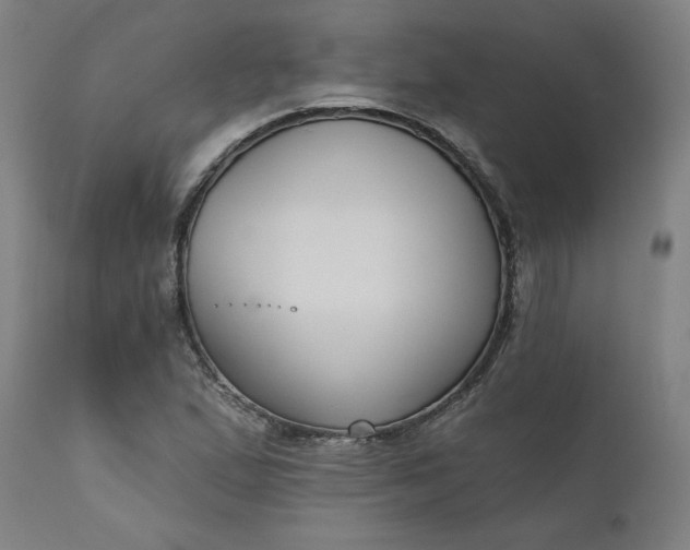 X0000111171167200907151252