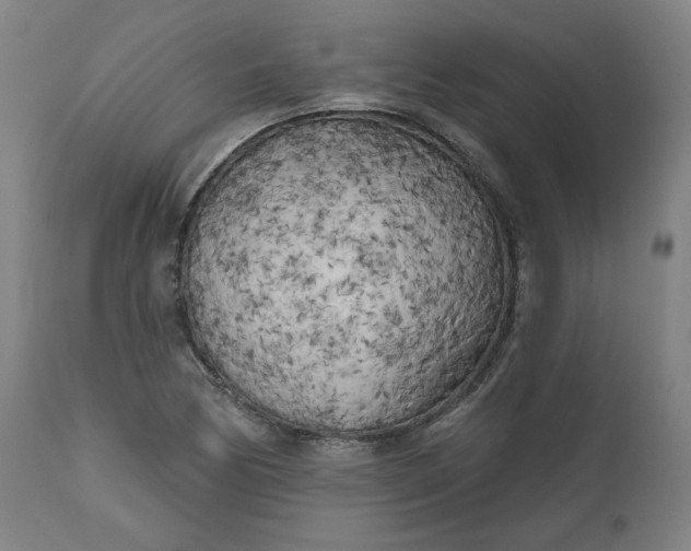 X0000111171170200907151252