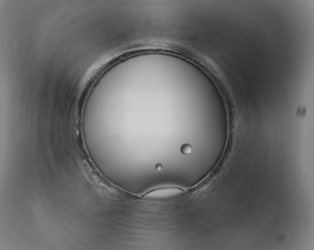 X0000111171172200907151252