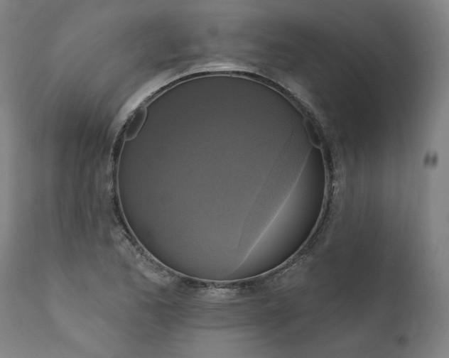 X0000111171173200907151252