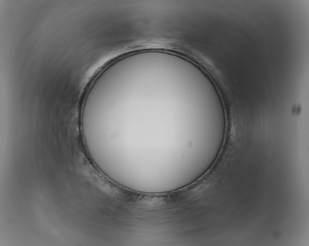 X0000111171174200907151252