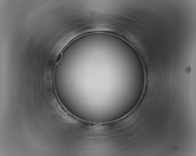 X0000111171177200907151251