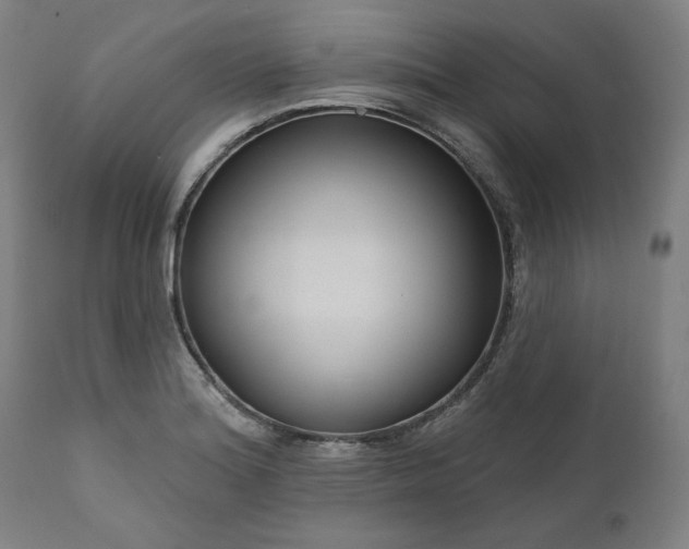 X0000111171180200907151251