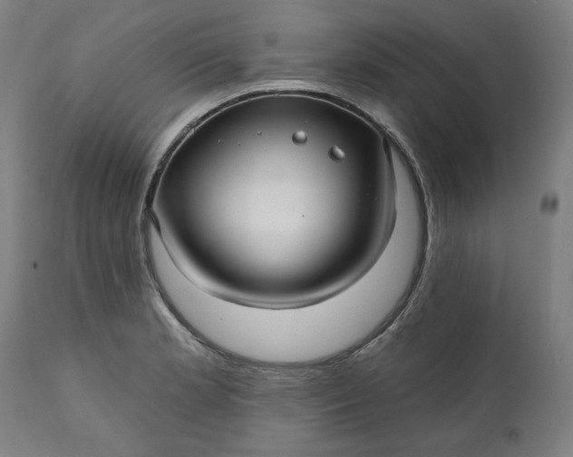 X0000111171181200907151251