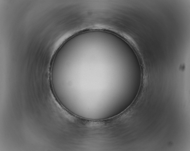 X0000111171183200907151251