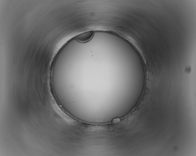 X0000111171187200907151251