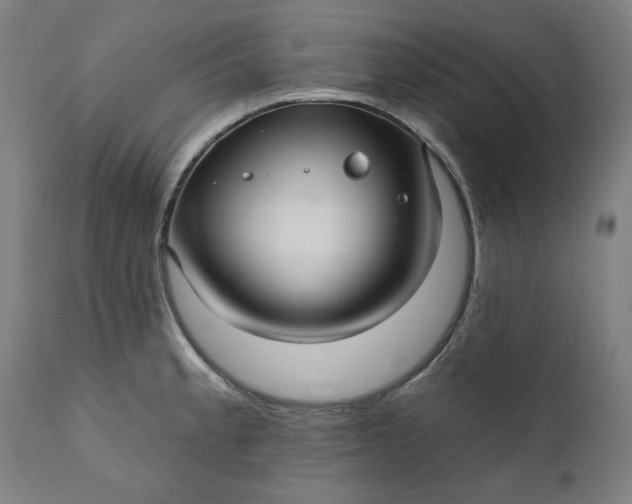 X0000111171189200907151251