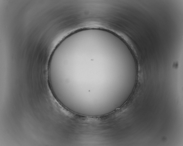 X0000111171191200907151251