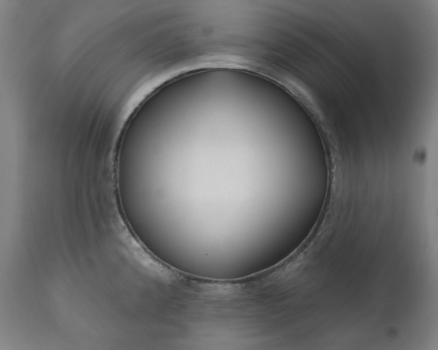 X0000111171192200907151251