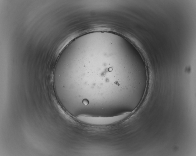 X0000111171193200907151251