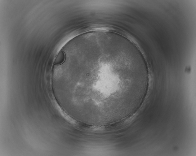 X0000111171194200907151251