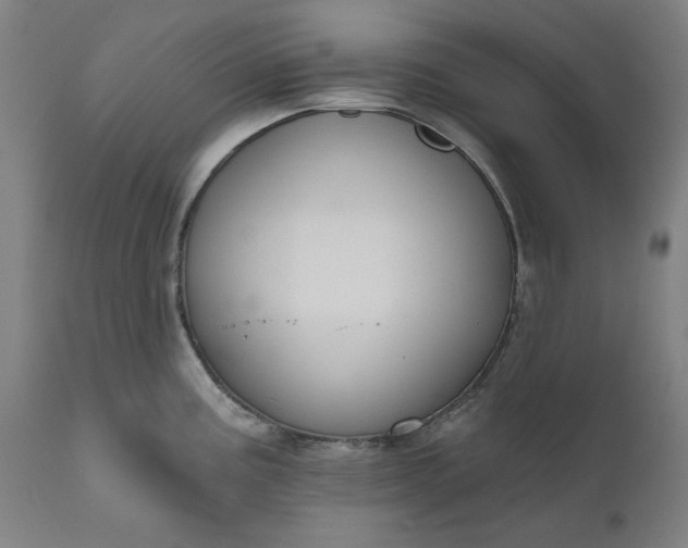 X0000111171195200907151251