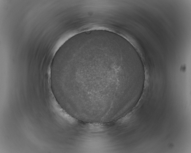 X0000111171198200907151251