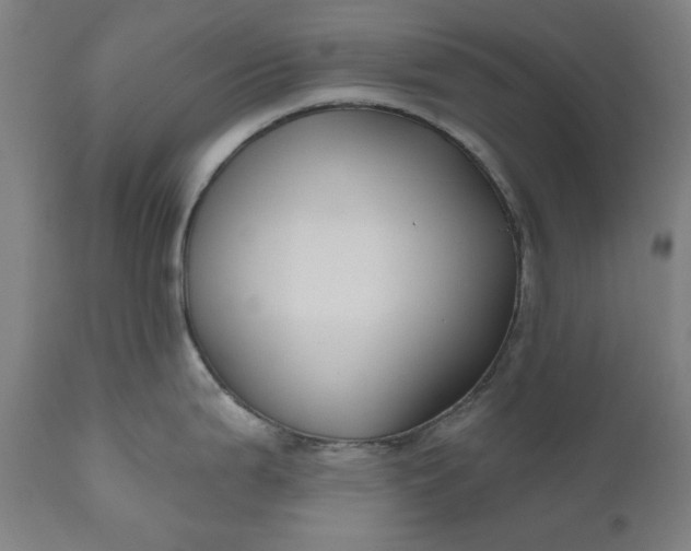 X0000111171199200907151251