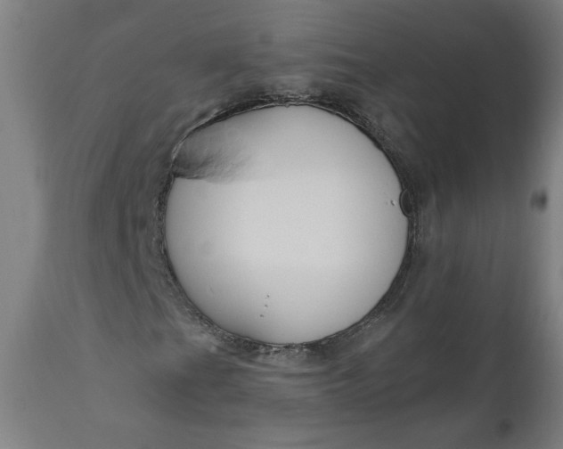 X0000111171201200907151250