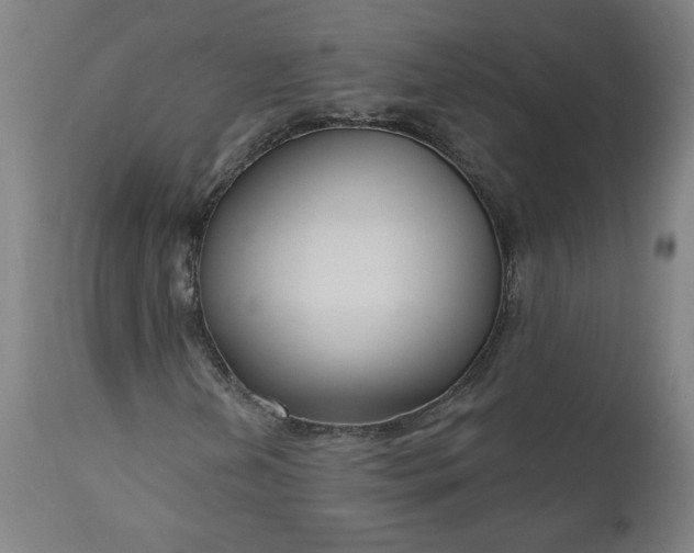 X0000111171202200907151250