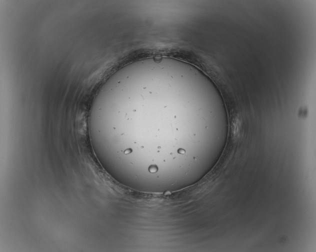 X0000111171204200907151250