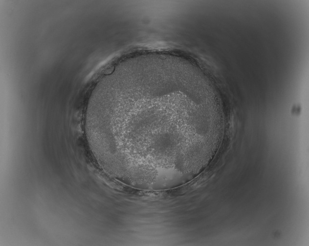 X0000111171205200907151250