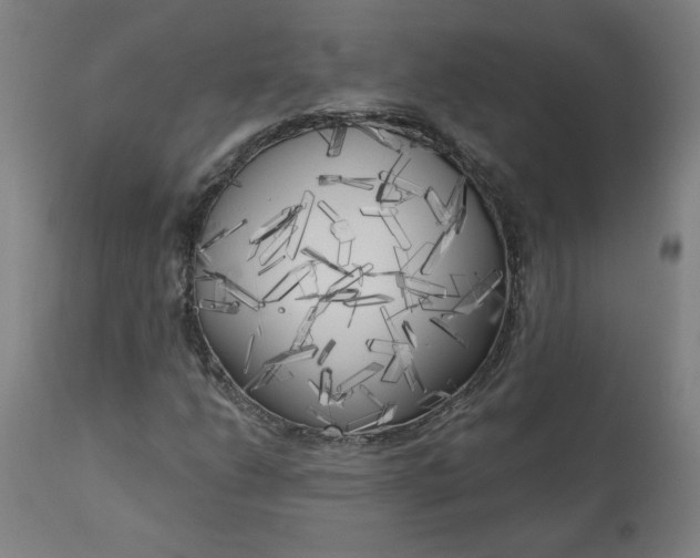 X0000111171206200907151250