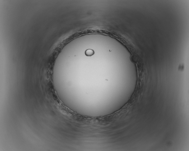 X0000111171207200907151250