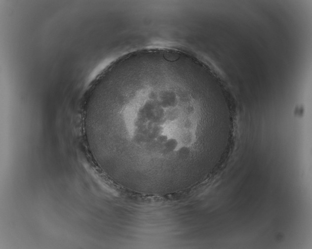 X0000111171208200907151250