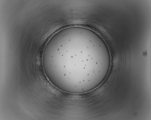 X0000111171209200907151250