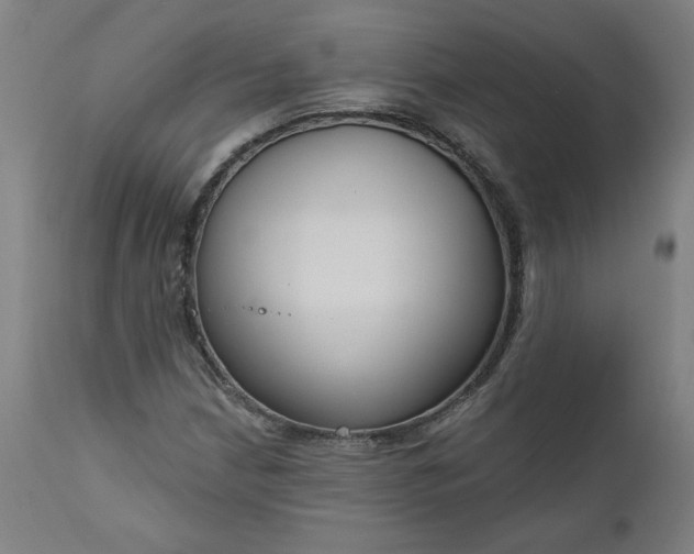 X0000111171210200907151250