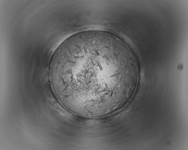 X0000111171212200907151250