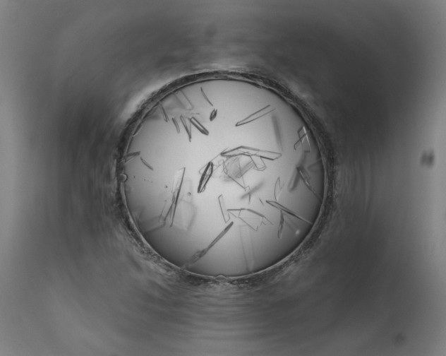 X0000111171214200907151251