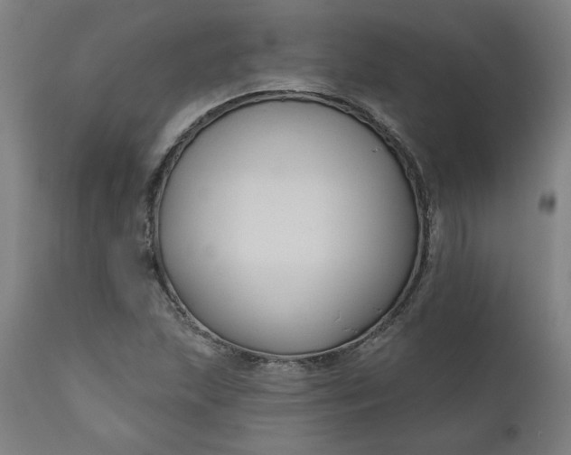 X0000111171215200907151251