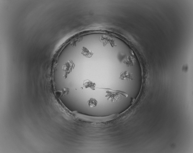 X0000111171216200907151251