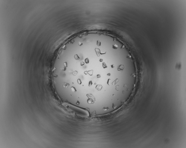 X0000111171217200907151251