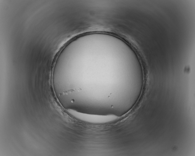 X0000111171220200907151251