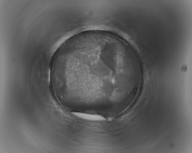 X0000111171221200907151251