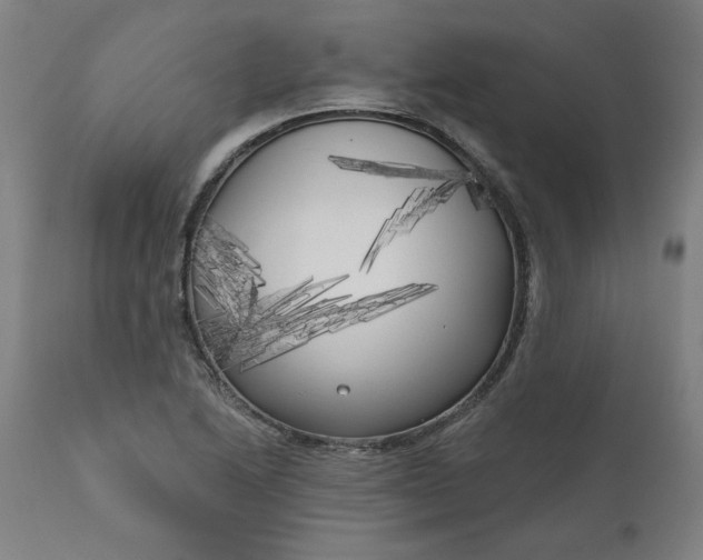 X0000111171222200907151251