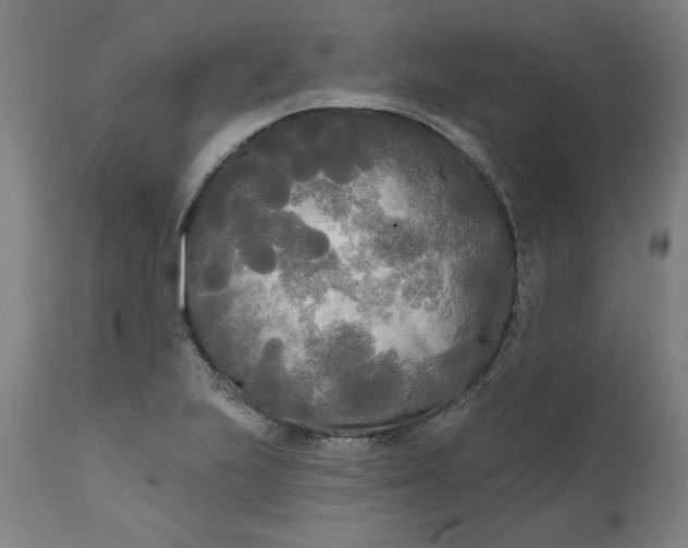 X0000111171223200907151251