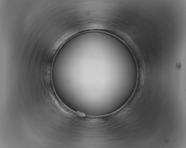 X0000111171225200907151251