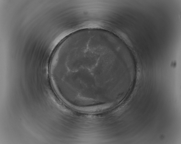 X0000111171226200907151251