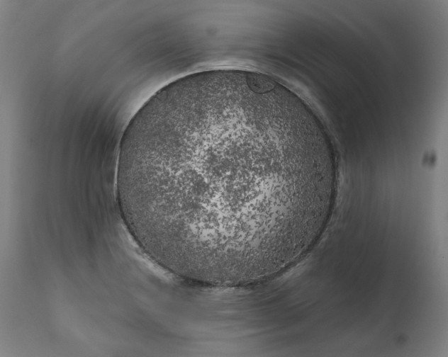 X0000111171228200907151251