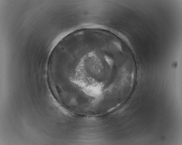 X0000111171231200907151251