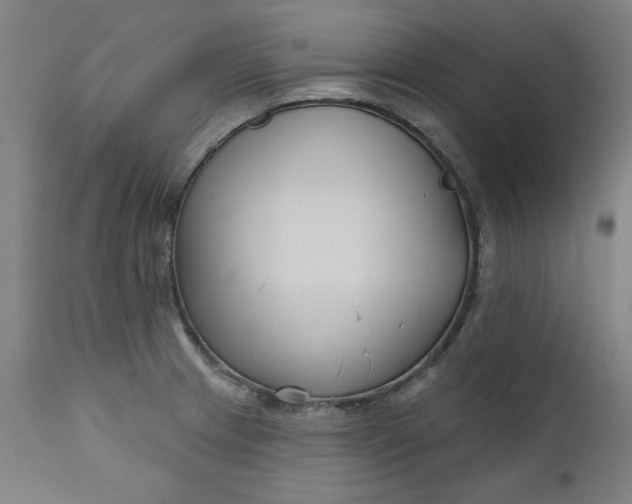 X0000111171233200907151251