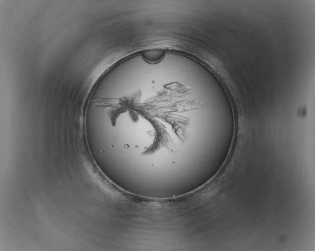 X0000111171234200907151251