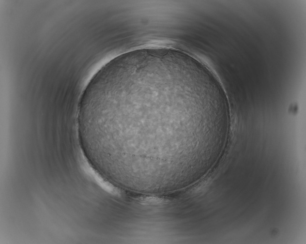 X0000111171235200907151251