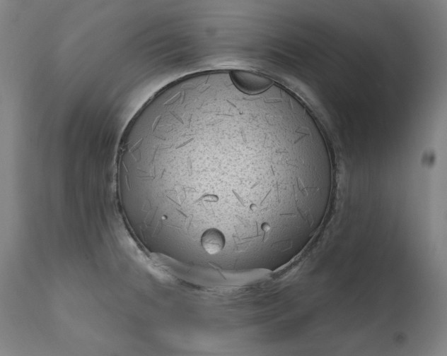 X0000111171236200907151251