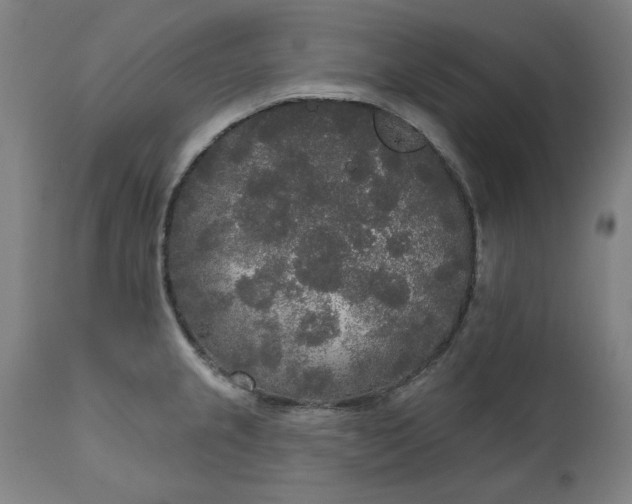 X0000111171237200907151251