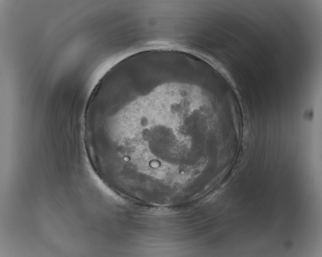 X0000111171239200907151251